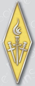 Pin: Brotherhood of the Celestial Torch - 1" Soft Enamel