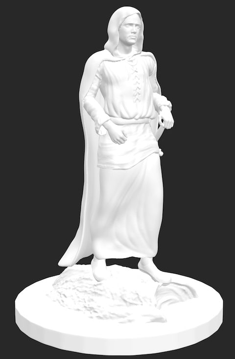 Mini: The Gamers 20th Anniversary Miniatures (3D digital file)